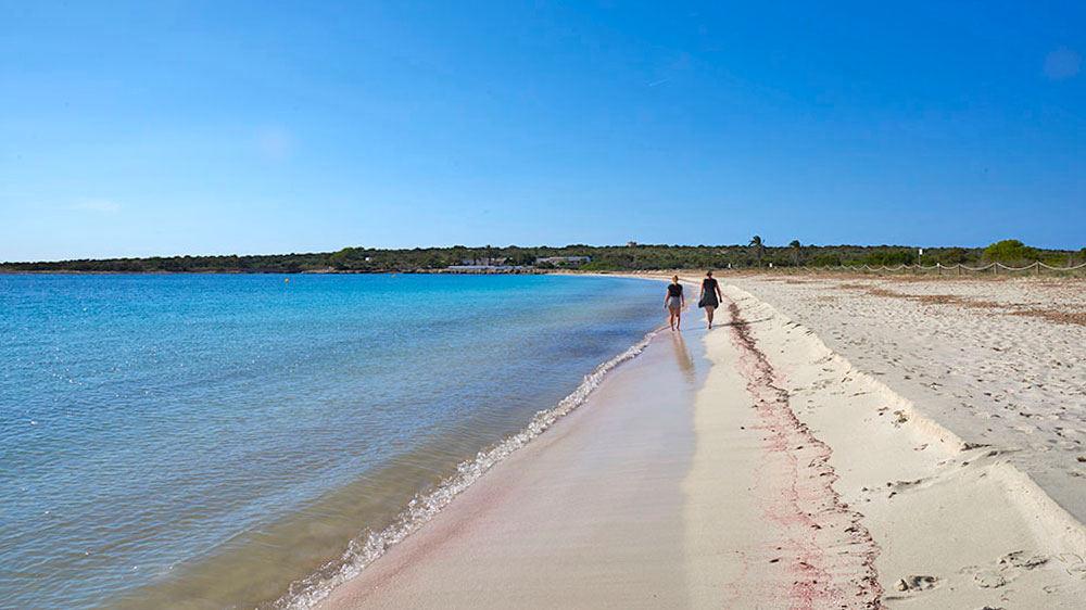 blauwasser_revierinformation_formentera_espalmador_strand