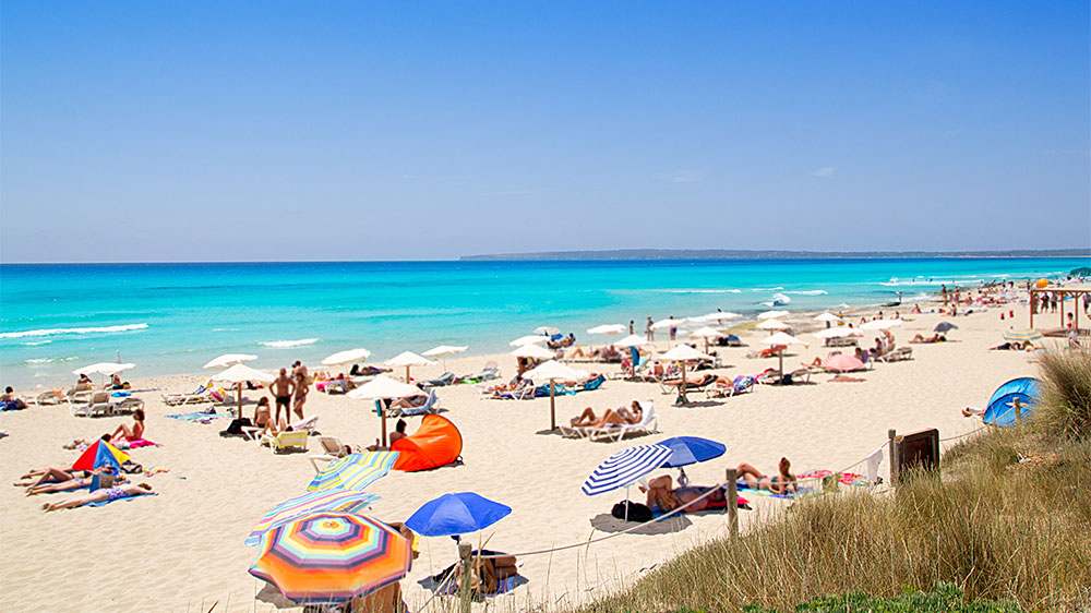 blauwasser_revierinformation_formentera_migjorn