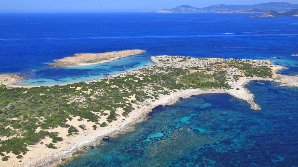 blauwasser_revierinformation_formentera_torreta