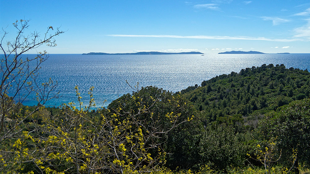 blauwasser_revierinformation_frankreich_iles_d_hyeres_ferne
