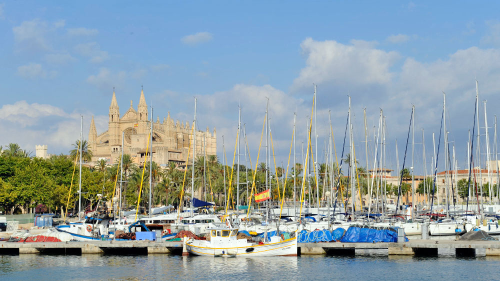 blauwasser_revierinformation_mallorca_hafen_palma