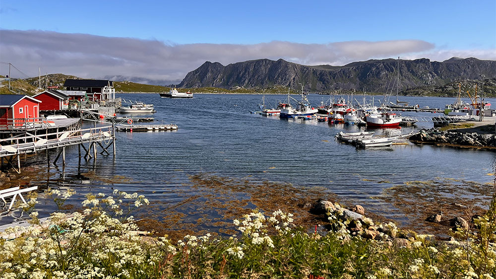 blauwasser_revierinformation_norwegen_nordkap_fischerhafen