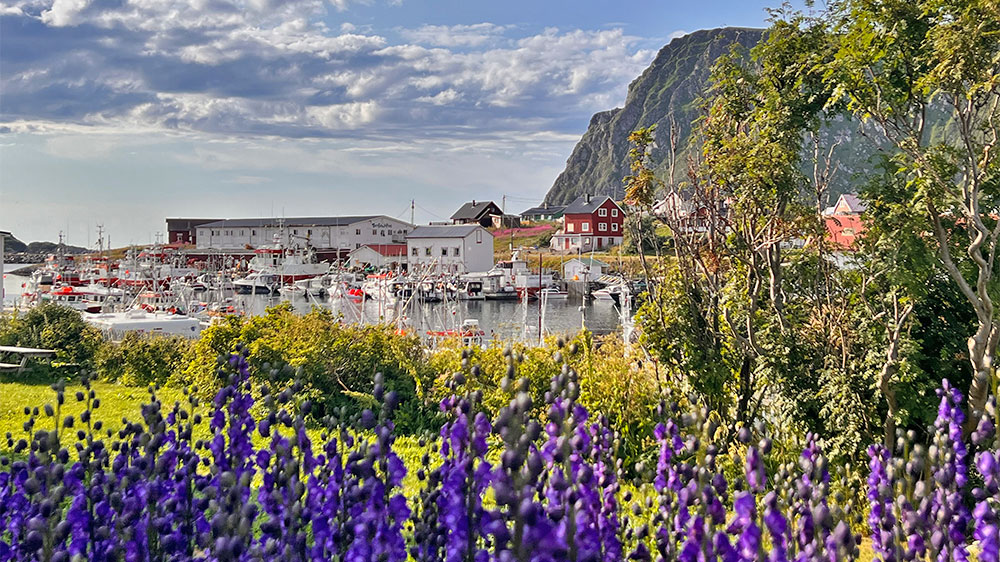 blauwasser_revierinformation_norwegen_nordkap_sorvaer