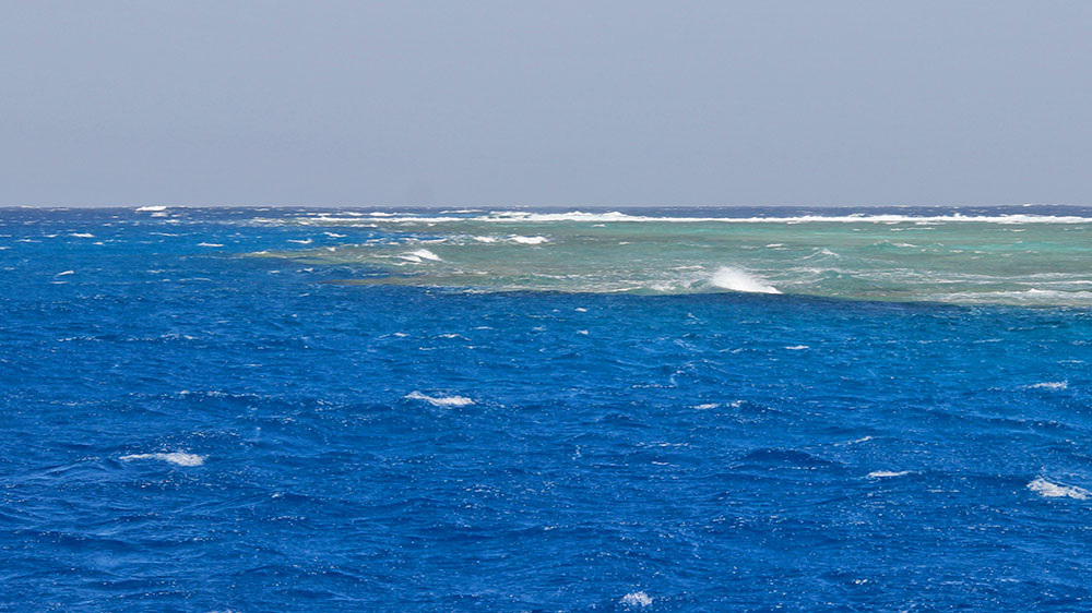 blauwasser_revierinformation_rotes_meer_ernesto_riff