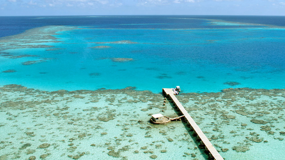 blauwasser_revierinformation_rotes_meer_sanganeb_2