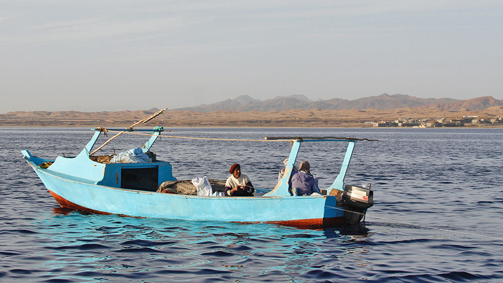blauwasser_revierinformation_rotes_meer_shaab_abu_fendera_2