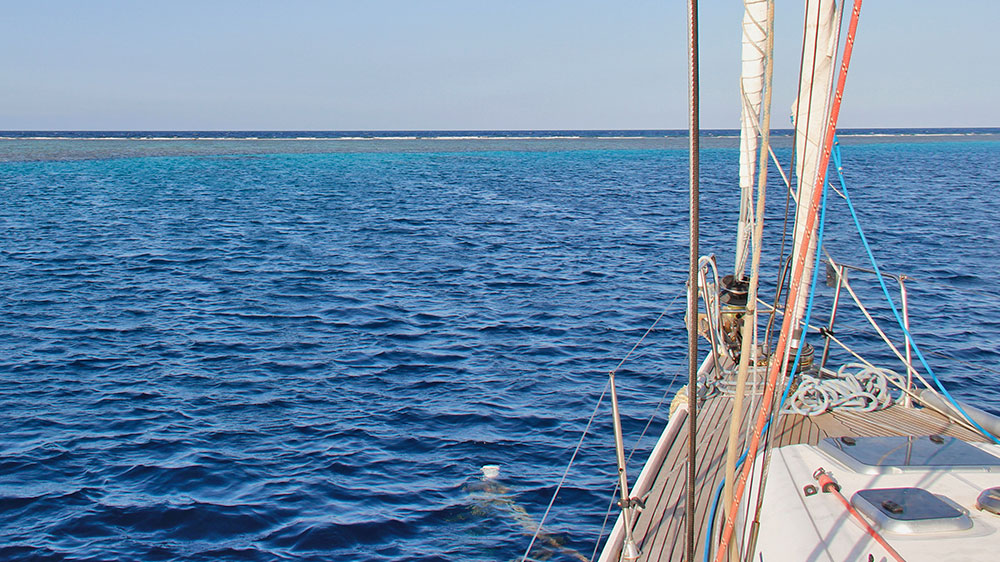 blauwasser_revierinformation_rotes_meer_shab_rumi