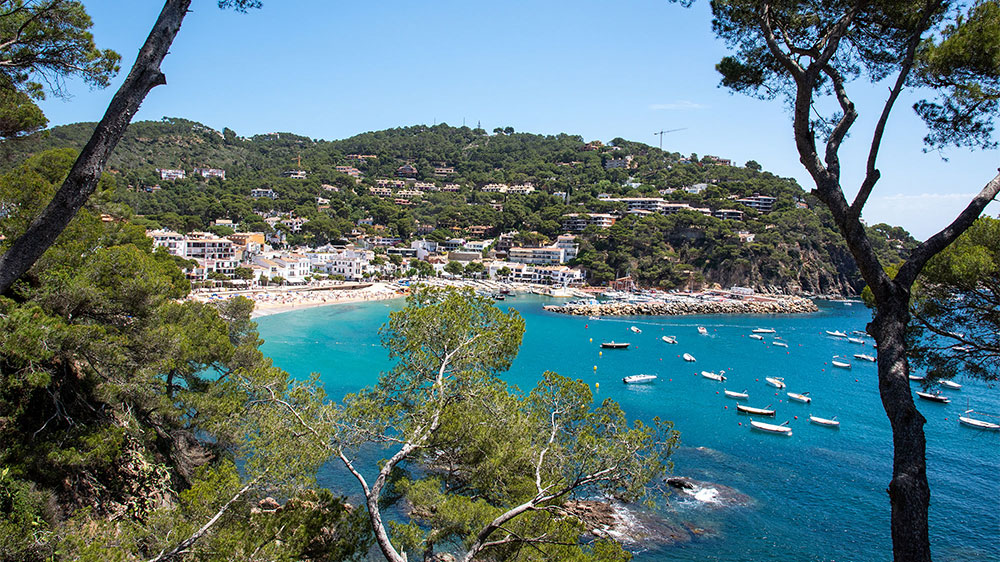 blauwasser_revierinformation_spanien_mittelmeer_costa_brava_llafranc