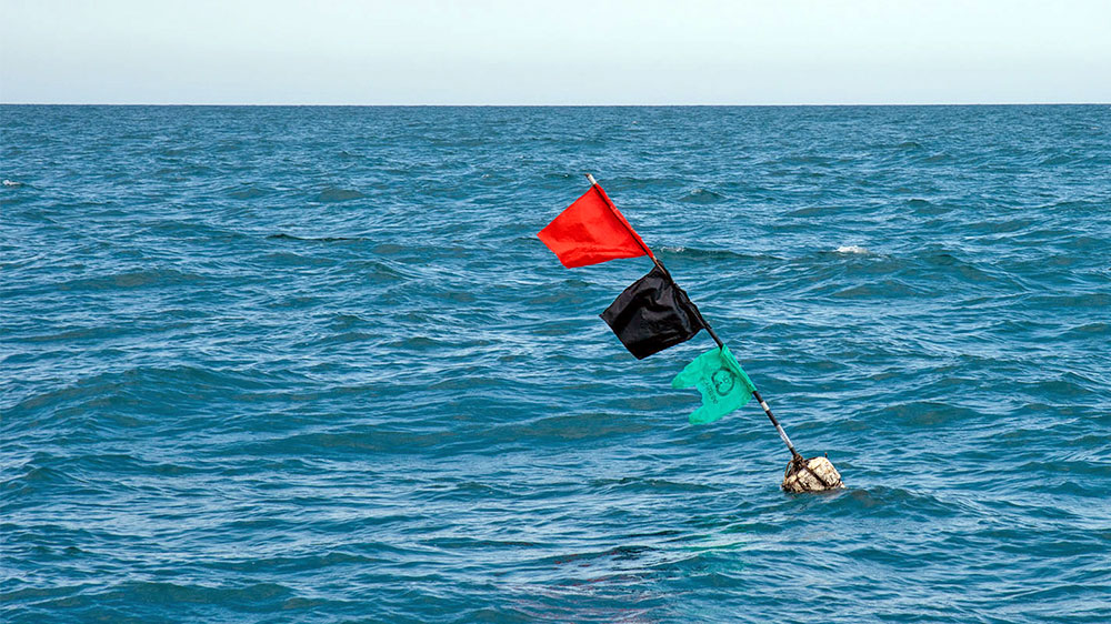 blauwasser_revierinformation_spanien_mittelmeer_costa_daurada_fischerei