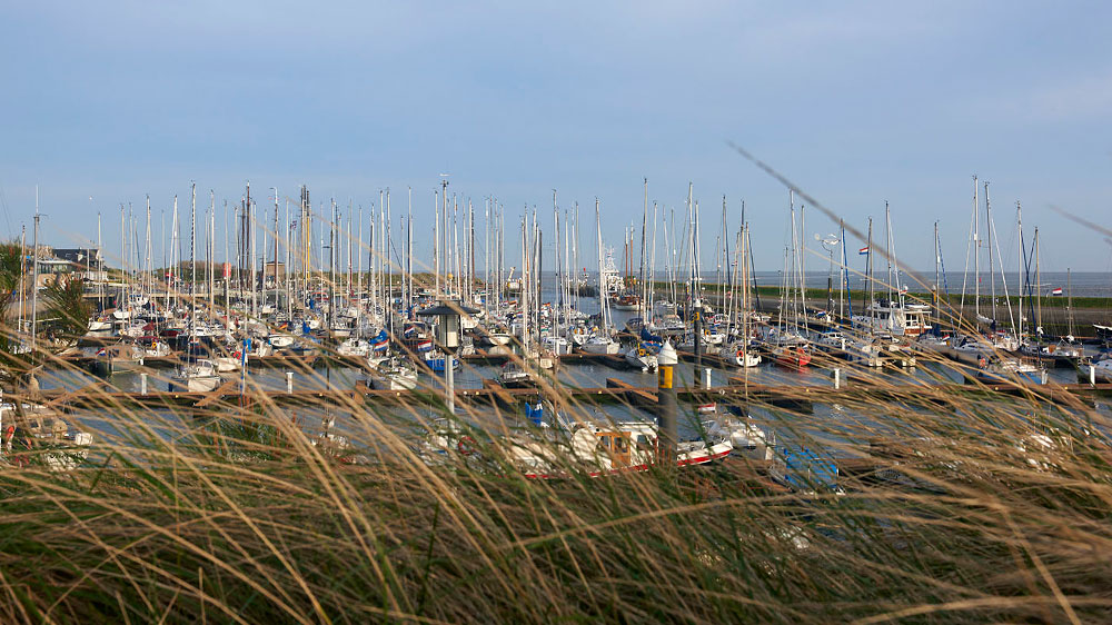 blauwasser_revierreportage_holland_plattbodenschiff_hafen_vlieland