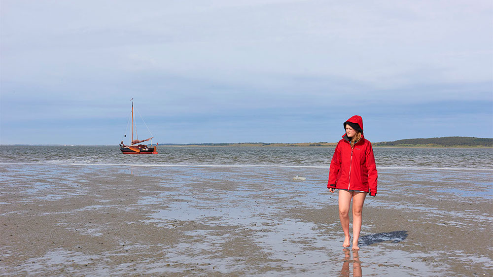 blauwasser_revierreportage_holland_plattbodenschiff_wattwandern