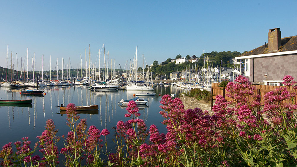 blauwasser_revierreportage_irland_kinsale