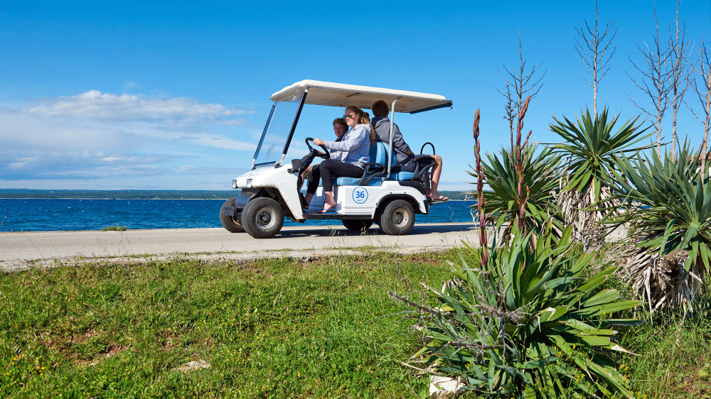 blauwasser_revierreportage_kroatien_istrien_brijuni_inseln_golfcart