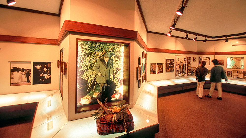 blauwasser_revierreportage_kroatien_istrien_brijuni_inseln_museum