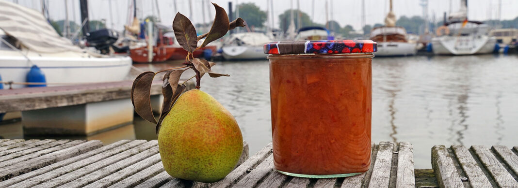 blauwasser_rezepte_herzhaftes_chutney_header