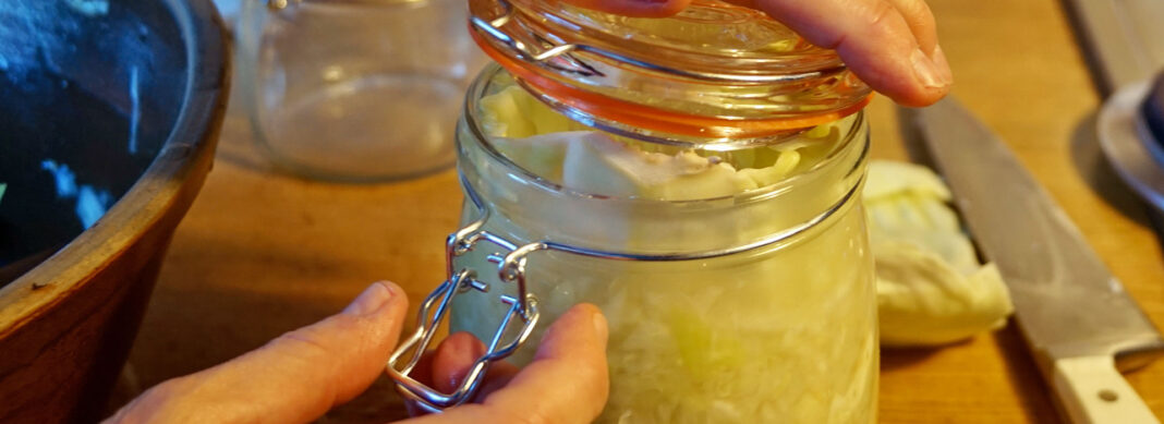 blauwasser_rezepte_sauerkraut_header
