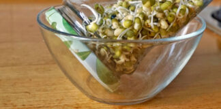 Rezept: Sprossenzucht an Bord