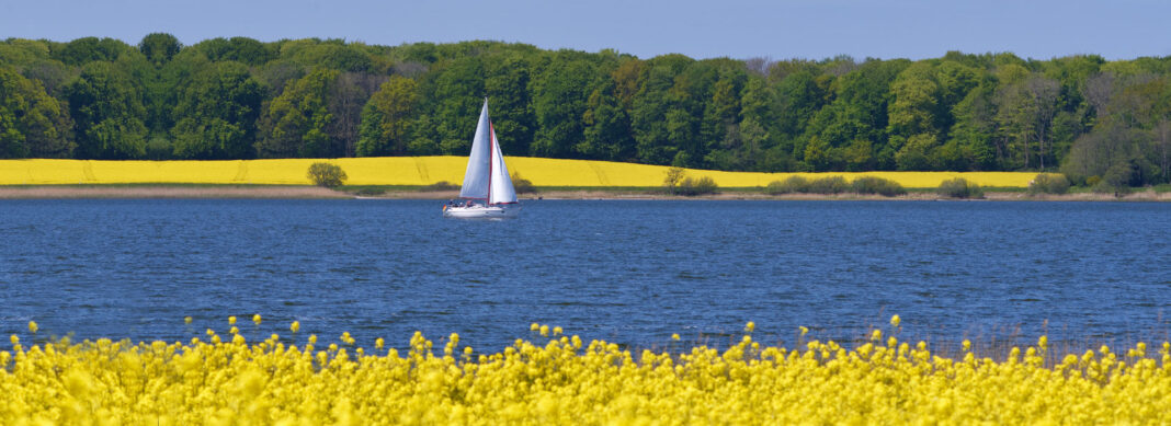 blauwasser_schlei_revierinformation_segeln_header