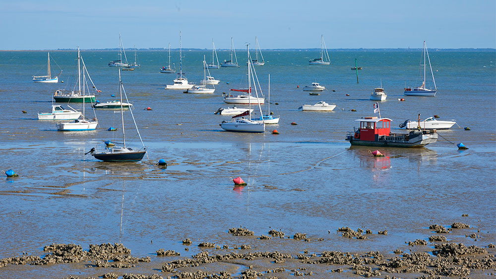 blauwasser_segeln_charter_atlantik_biskaya_frankreich_ankerbucht_tidenrevier_ile_d_aix