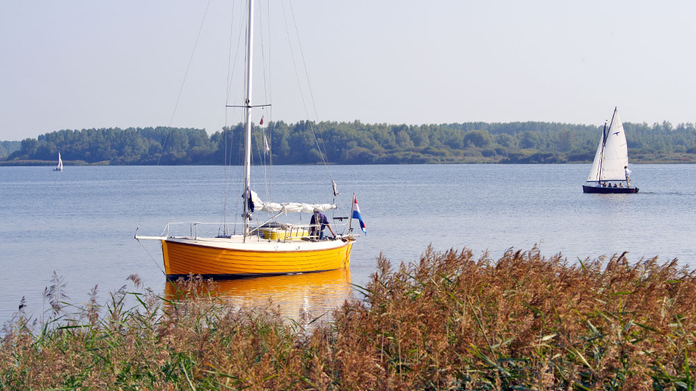 blauwasser_segeln_charter_holland_lauwers_meer_ankern