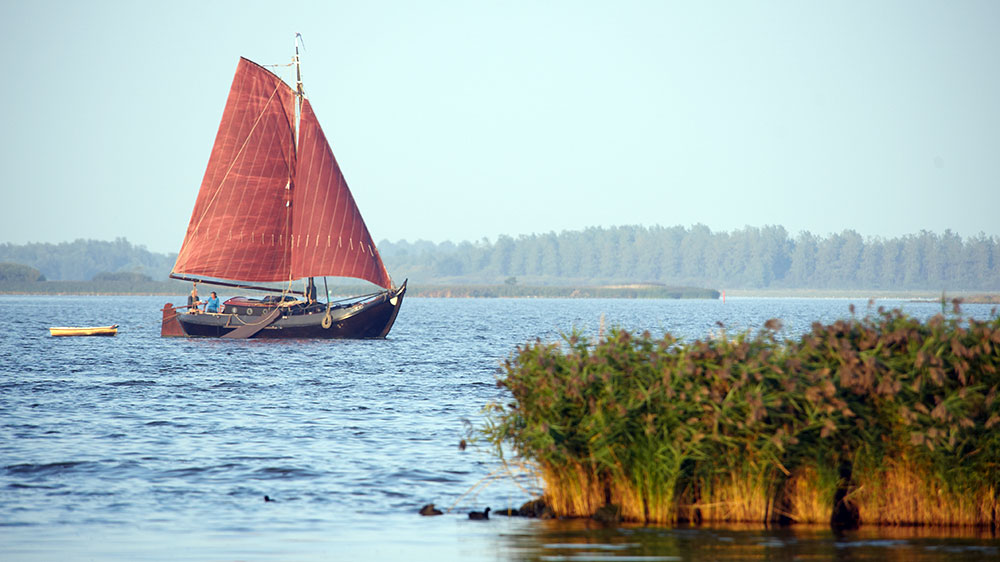 blauwasser_segeln_charter_holland_lauwers_meer_plattbodenschiff
