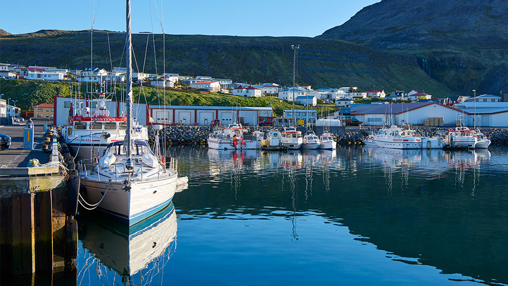 blauwasser_segeln_charter_island_olafsvik_hafen