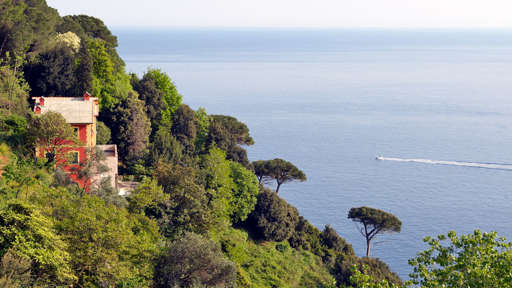blauwasser_segeln_charter_italien_ligurien_riviera_di_levante