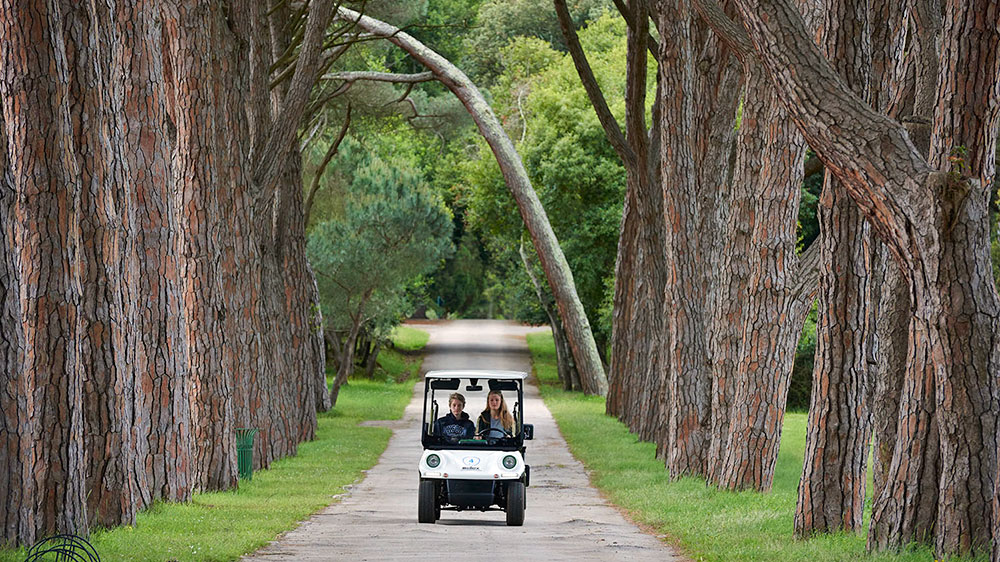 blauwasser_segeln_charter_kroatien_revierinformation_nationalpark_brijuni_golfcart