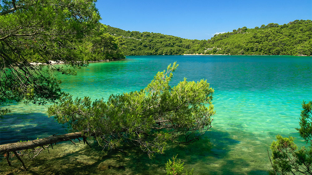 blauwasser_segeln_charter_kroatien_revierinformation_nationalpark_mljet_nationalpark