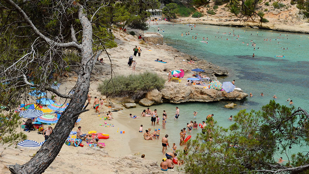 blauwasser_segeln_charter_mallorca_nahziele_palma_cala_de_portals_badegaeste