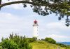 Hiddensee – die Perle im Bodden zum Segeln