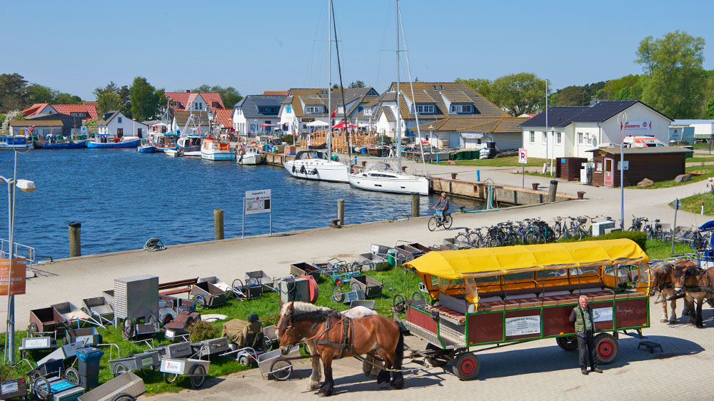 blauwasser_segeln_charter_ostsee_deutschland_mecklenburg_vorpommern_hiddensee_vitte_pferdekutsche