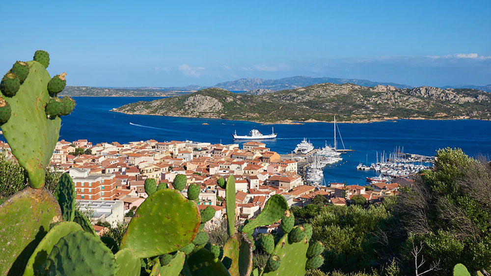 blauwasser_segeln_charter_sardinien_maddalena_hafen