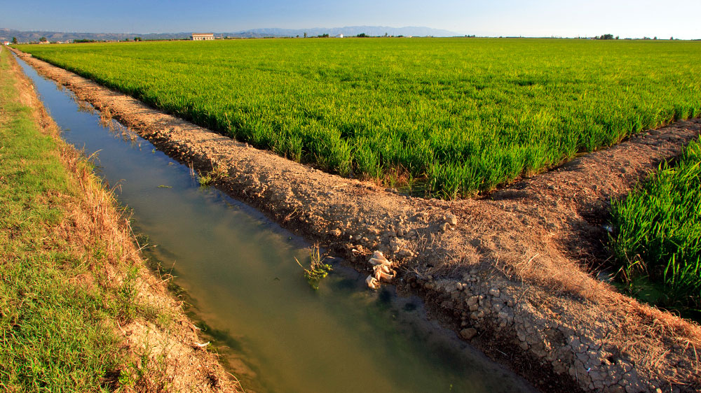blauwasser_segeln_charter_spanien_ebro_delta_reisanbau