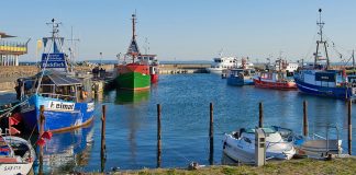 Hafen/Marina Sassnitz (Rügen)