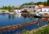 Hafen/Marina Waase/Ummanz (Rügen)