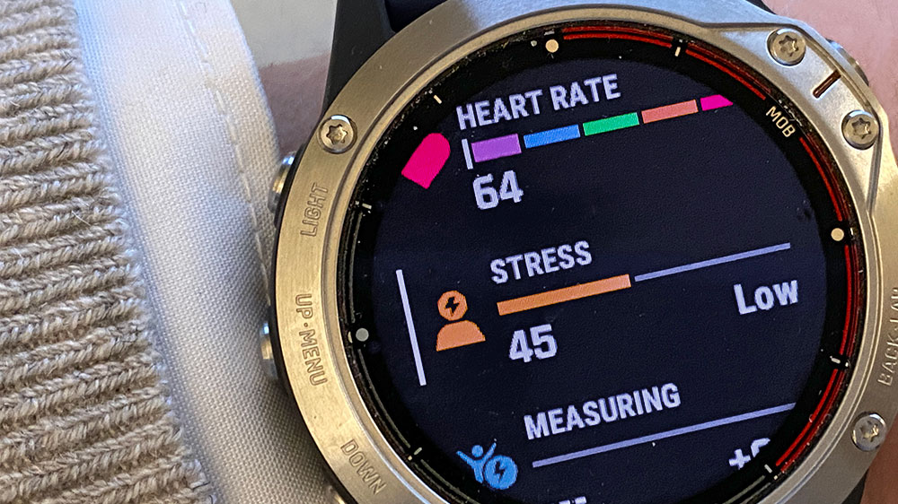 blauwasser_smartwatch_quatix_6_garmin_gesundheit