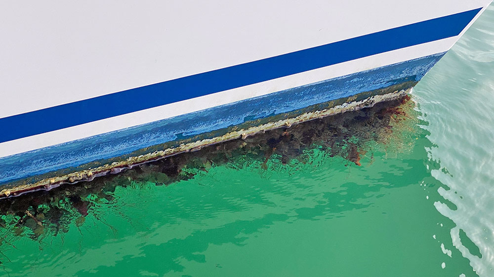 blauwasser_unterwasserschiff_rumpf_kiel_ruder_langfahrt_bewuchs
