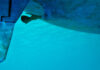 Unterwasserschiff: So sind Rumpf, Kiel und Ruder fit für die Langfahrt