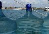 Wassermacher auf einer Langfahrtyacht – Ja oder nein?