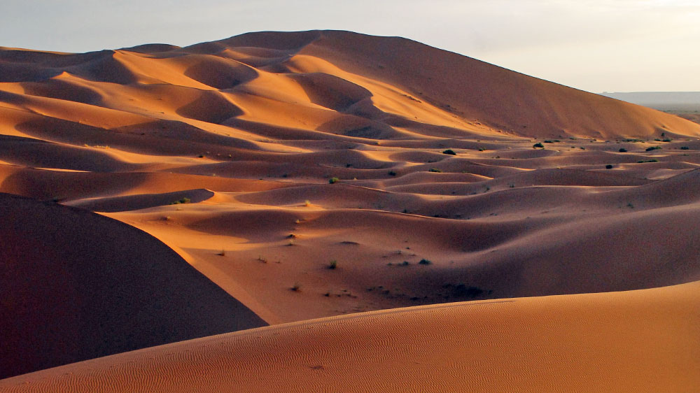 blauwasser_wind_schirokko_sahara