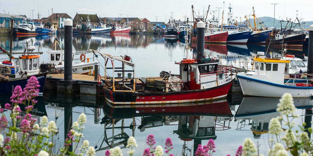 irland_revier_howth_hafen_2