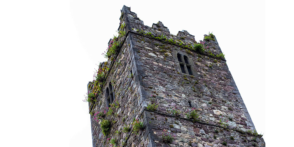 irland_revier_waterford