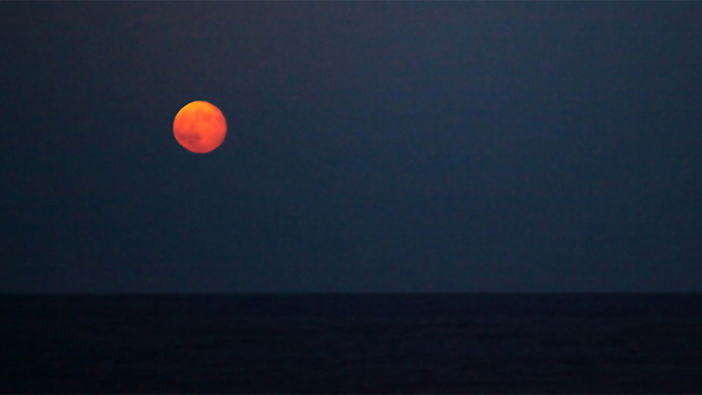 mond