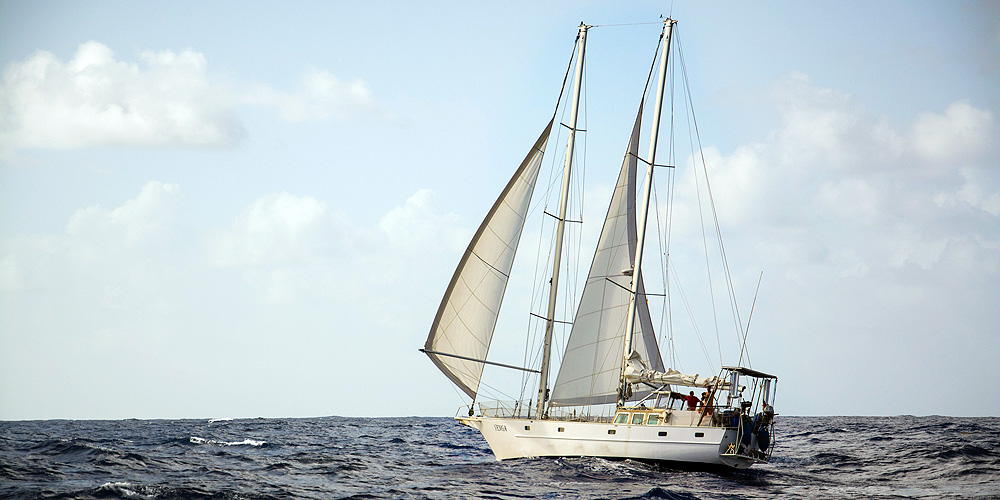 ozean7