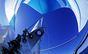thumb_aus_9