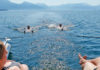 Analyse der Wassertemperatur an Nord- und Ostsee für den Juli 2018 im Vergleich