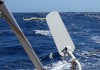 Video: Segeln unter Windfahne